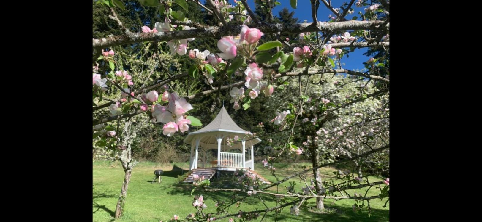 Le Terrondou Hotel Vic-sur-Cere Luaran gambar